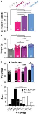 Perinatal Breathing Patterns and Survival in Mice Born Prematurely and at Term